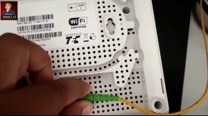 Wifi Los Red Light problem Solved | Wifi internet connection loss | Official Pandey Ji