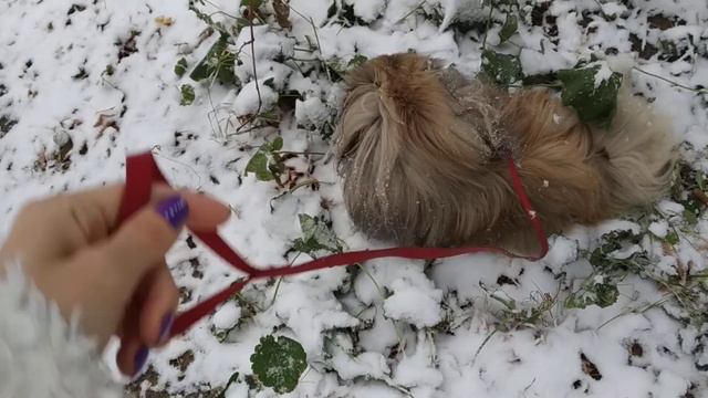 А СНЕГ ИДЁТ,А СНЕГ ИДЁТ... смотреть онлайн
