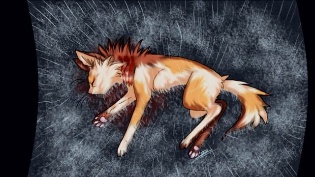 Чтение ,,Закон племён" Решение целителей. Коты воители смотреть онлайн