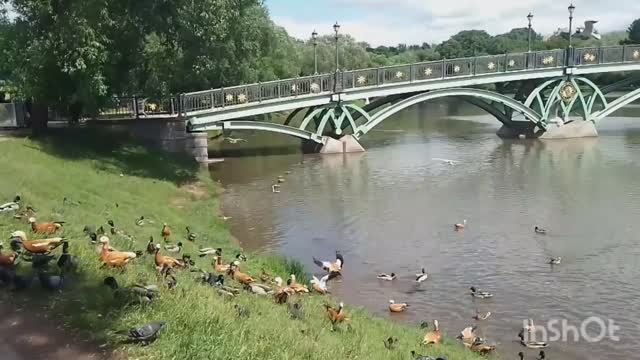 Фарфоровые путешествия