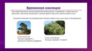 Биология. 10 класс. Механизмы видообразования. Изолирующие механизмы видообразования