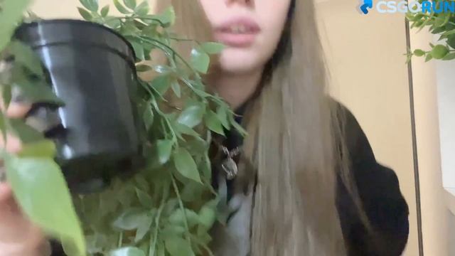 Барби Герл крупным планом смотреть онлайн