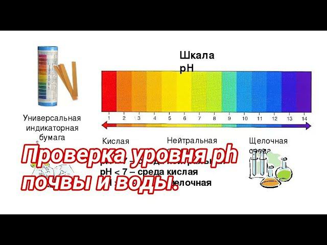 Проверка уровня ph торфа разных производителей! Обман раскрыт! смотреть онлайн