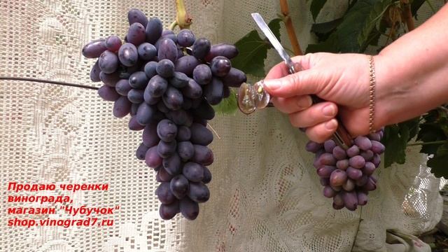 СтройМания