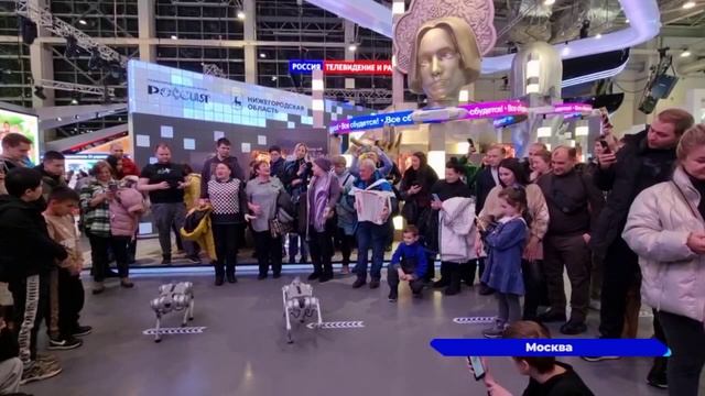 Новости "Волга 24"  27.11.2023 15:00