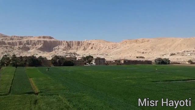 Misr Hayoti Kanalining Ilk Jonli Videosi.Misr Davlati Haqida.