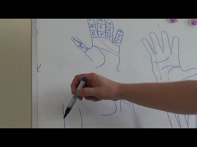 Семинар Краниосакральная терапия 2 КСТ2_043 смотреть онлайн