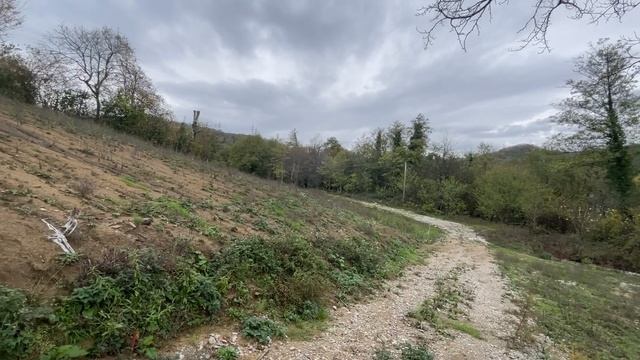 Инвестировать или закопать деньги в сочинской земле❓#риэлторсочи #недвижимостьсочи #домвсочи