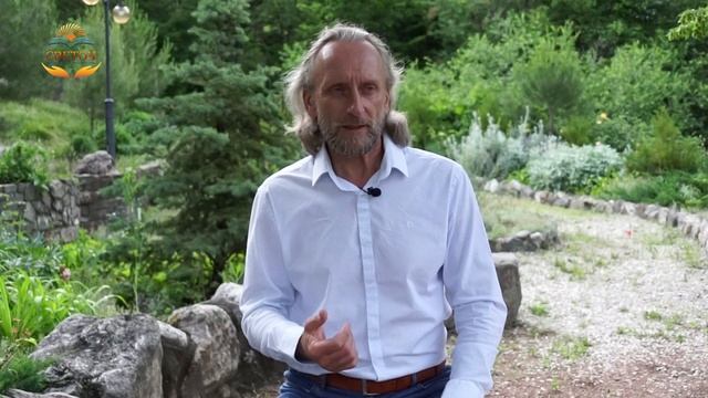 Главный закон самоисцеления. Как исцелить себя с помощью метода самотрансформации доктор Синельнико смотреть онлайн