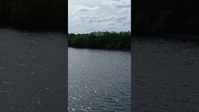 Lake Plotichno + Land on the waterside | Best Ground Company | Озеро Плотично + Участок на берегу смотреть онлайн