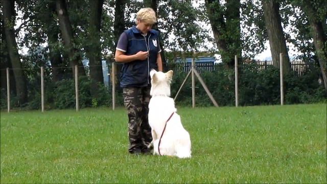 Harppy ( Lars la Blankpapilio ) - Obedience смотреть онлайн