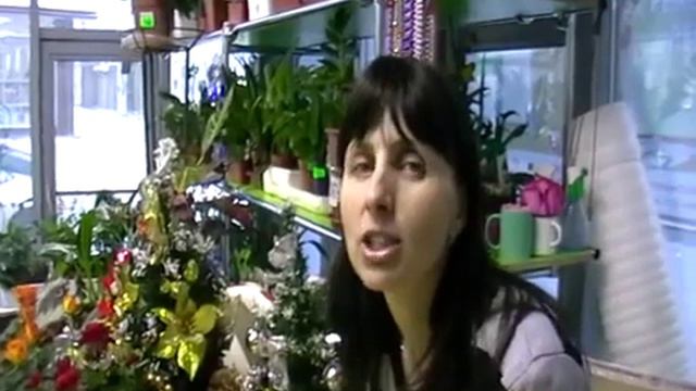 6А Усолье сибирское смотреть онлайн