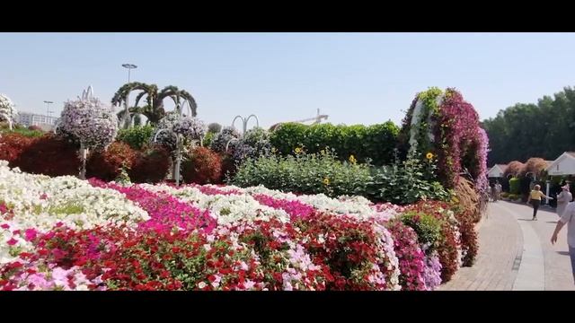 Эмираты смотреть онлайн