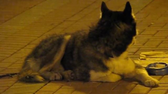 Анатолий Семочкин смотреть онлайн
