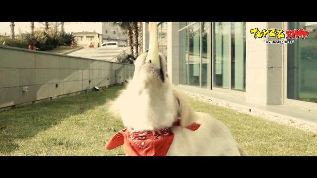 Monster Flex - Esnetebildiğin Kadar Esnet! смотреть онлайн