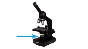 Как выбрать микроскоп: видеообзор для любителей микромира