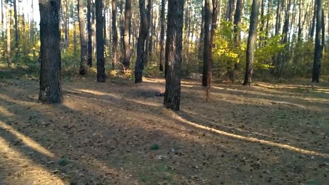 Туристическая Палатка-тент-гамак Optima 4х3м. смотреть онлайн