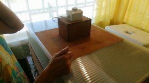 Брудер для цыплят от производителей инкубаторов Блиц Норма.