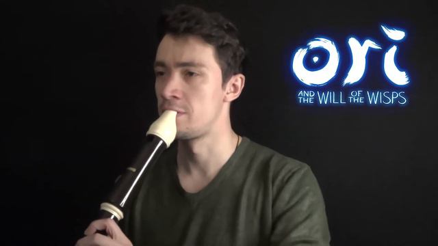 In Wonderment of Winter (Ori and the Will of the Wisps) tenor recorder cover смотреть онлайн
