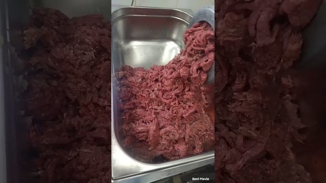 Европе́йский лось, или лось, или соха́тый, — вид млекопитающих из семейства оленевых. Готовим дичь. смотреть онлайн