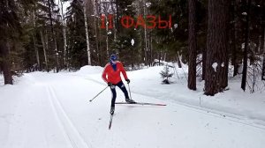 Попеременный двухшажный коньковый ход