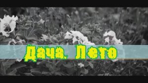 Дача. Лето.mp4