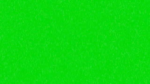 Футаж. Тигр. Хромакей. Рисованное видео. смотреть онлайн