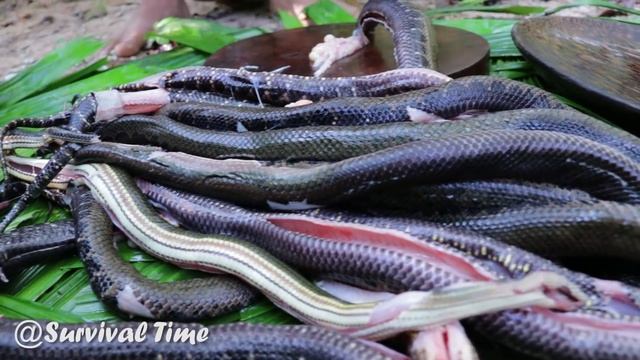Primitive Technology Catching and Cooking A lot of Snake in the Forest смотреть онлайн