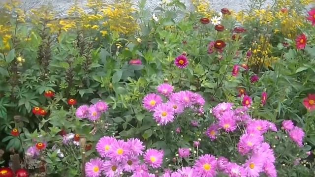 МОЕ КИНО. Городок, дворик. Милые цветы и пение воробья. смотреть онлайн