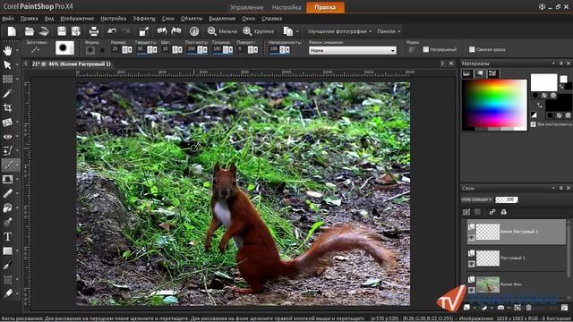 PaintShop Pro X4. Урок 21. Осветление и затемнение