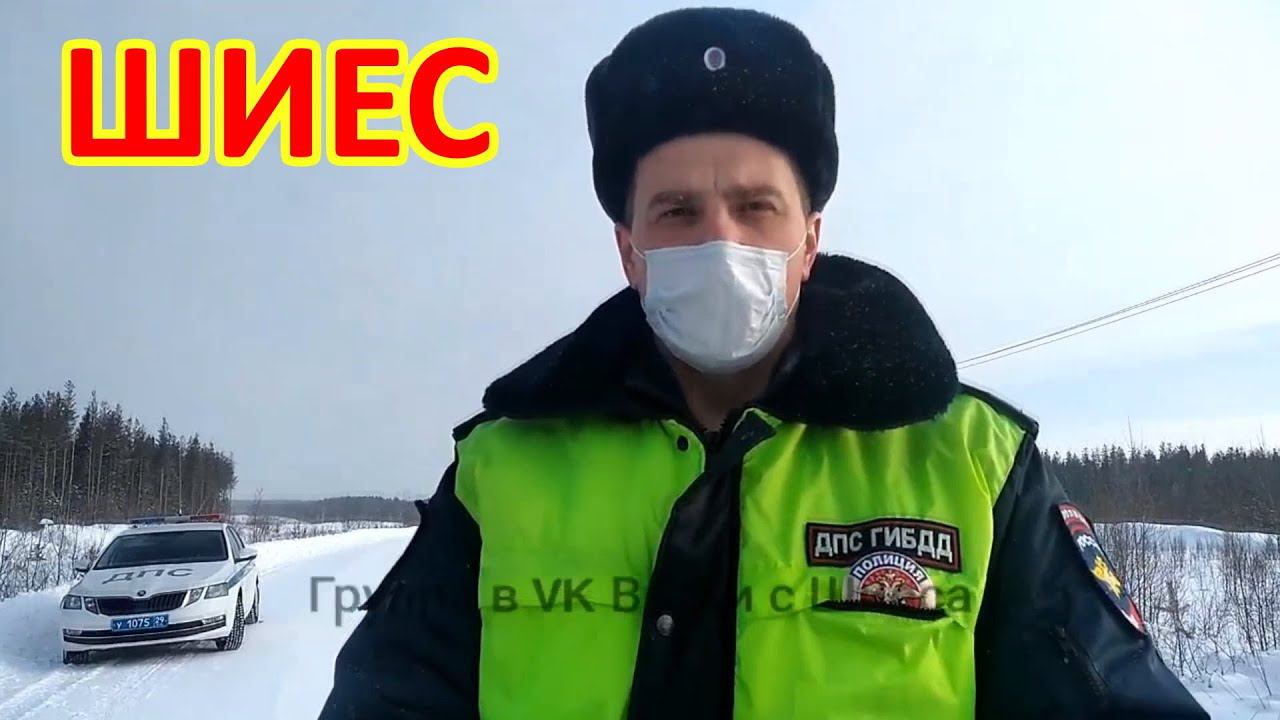 ШИЕС. СРОЧНО! ВСЕХ ПОВЯЗАЛИ смотреть онлайн