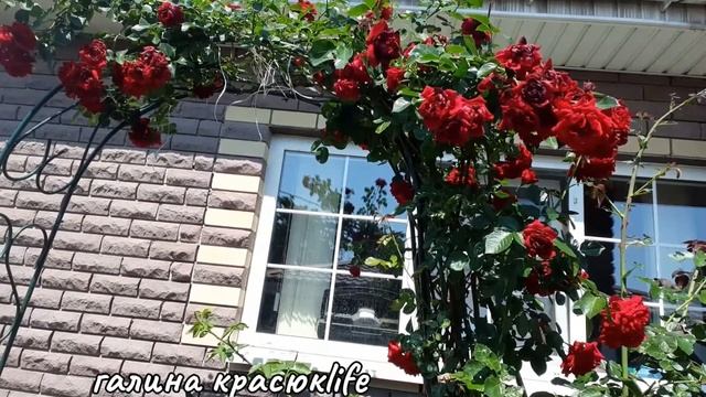 Как мы спасаемся в деревне от жары. смотреть онлайн