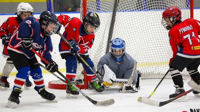 Tik tok Маленький вратарь хоккей Hockey goalie смотреть онлайн