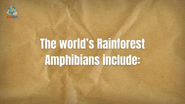 Rainforest Animals For Kids, Kindergarten And Preschool: RAINFOREST ANIMALS FOR KIDS