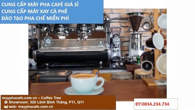 may pha cafe philips saeco ĐT 0834234734 смотреть онлайн