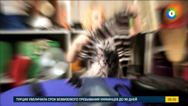 Учимся компактно складывать вещи в рюкзак. смотреть онлайн