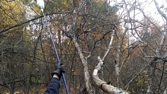 Дикие яблоки на хранение. смотреть онлайн