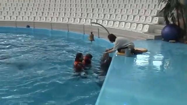 Дельфинотерапия с Аутистом. Мышко Дима 6 лет. День 4.mp4 смотреть онлайн