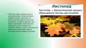 Листопад и его значение биология 7 кл.mp4