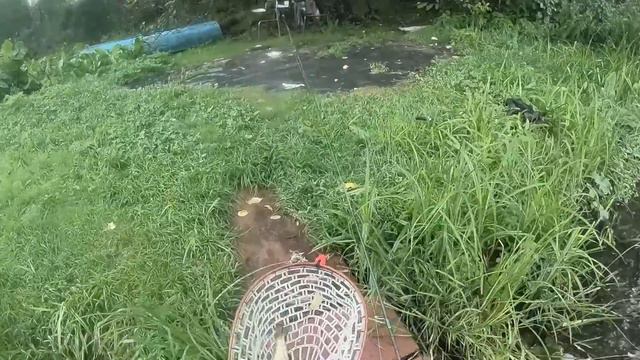 Рыбалка Форель Пеструшка 21 07 2018 г. Ленинградская область смотреть онлайн