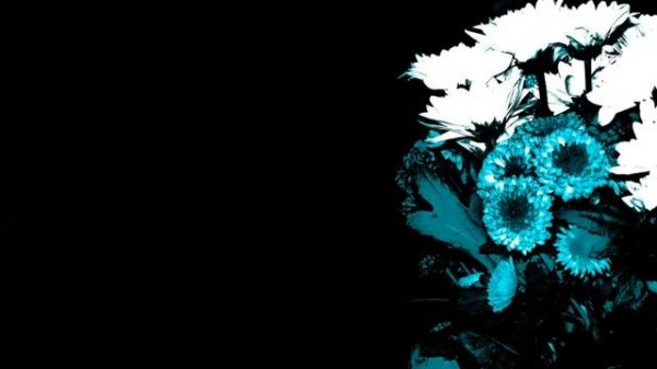 CLUB Tango to Evora REMIX