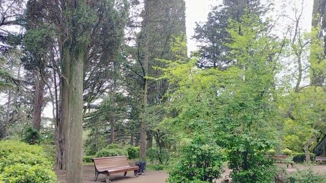 2021-06-01 Massandra park смотреть онлайн