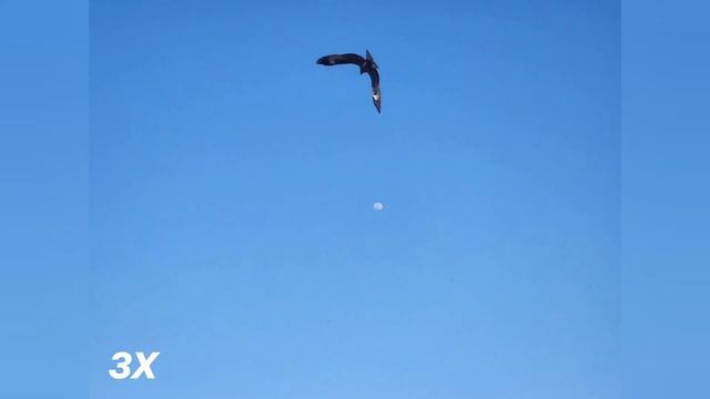 Samsung Galaxy S23 Ultra 100X Zoom Test From Aeroplane Window смотреть онлайн