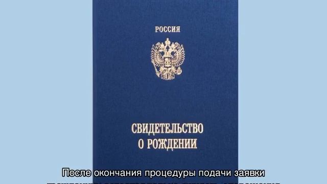 Документы РФ: паспорта и права