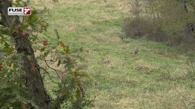 Idiot-Proof Bow, Great Stand Sites | Midwest Whitetail смотреть онлайн