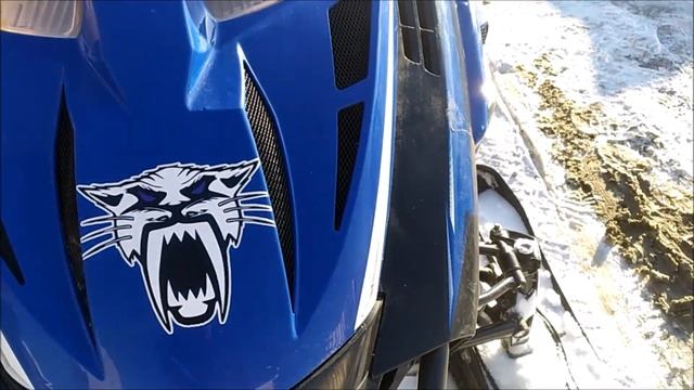 Arctic Cat Bearcat 570 XT смотреть онлайн