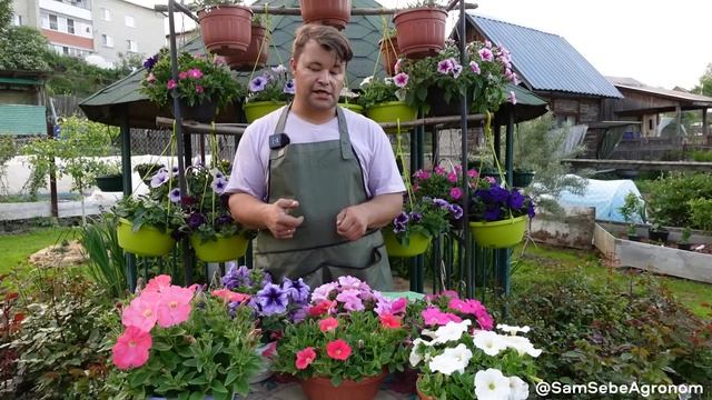 ВСЁ ПРО ПЕТУНИЮ В КОНТЕЙНЕРНОМ ОЗЕЛЕНЕНИИ И ОТКРЫТОМ ГРУНТЕ. смотреть онлайн