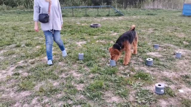 Ноузворк смотреть онлайн