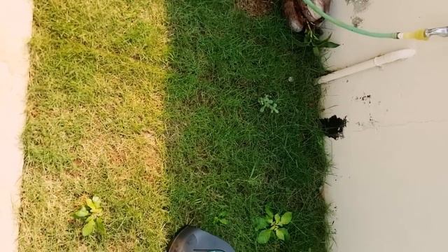 Bosch ART 23 electric grass trimmer смотреть онлайн