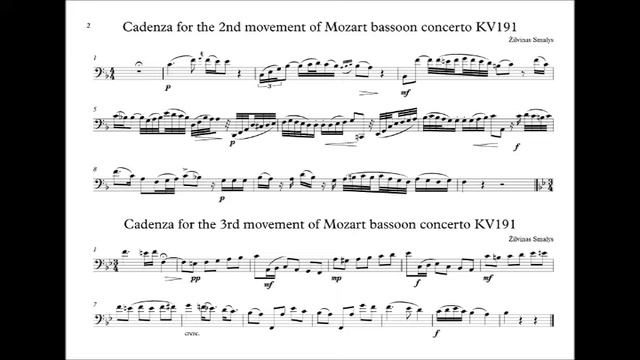 Mozart Bassoon Concerto - cadenzas for 2nd and 3nd movements (Ž. Smalys) смотреть онлайн
